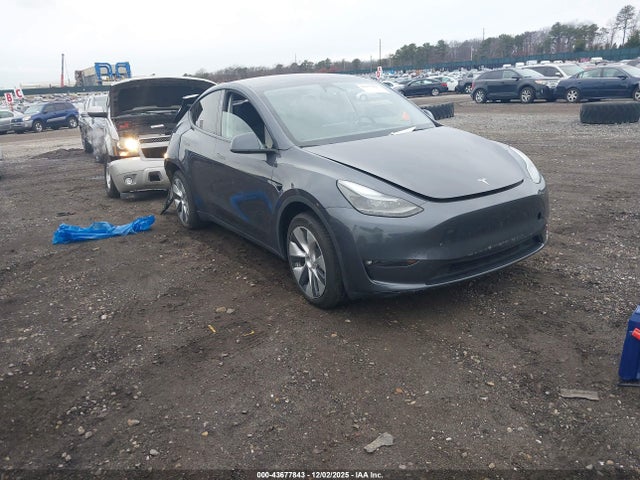 2023 TESLA MODEL Y 7SAYGDED3PF966665 Photo 0