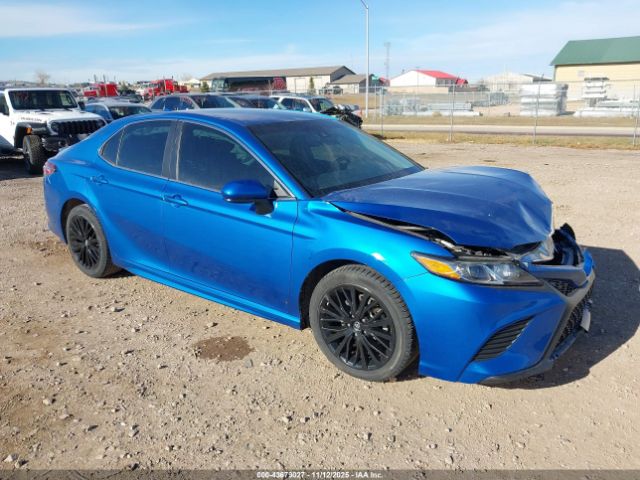 2019 TOYOTA CAMRY 4T1B11HKXKU245641