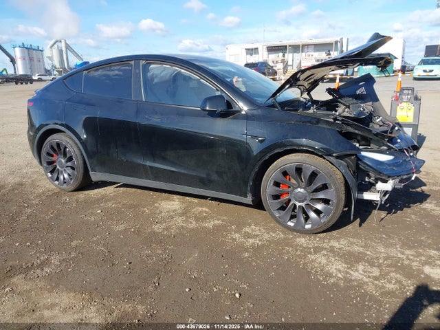 2023 TESLA MODEL Y 7SAYGDEF9PF823074 Photo 0
