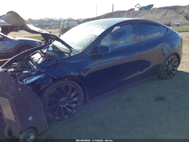 2023 TESLA MODEL Y 7SAYGDEF9PF823074 Photo 1