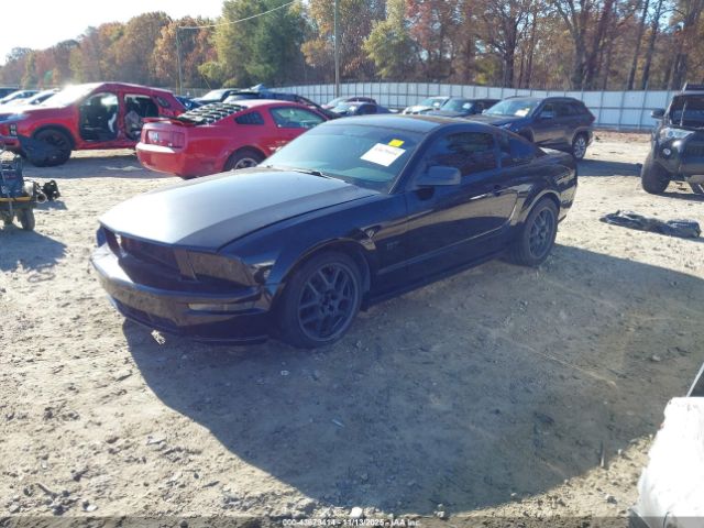 2005 FORD MUSTANG 1ZVHT82H655132036 Photo 1