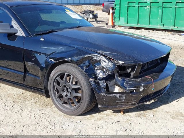 2005 FORD MUSTANG 1ZVHT82H655132036 Photo 5