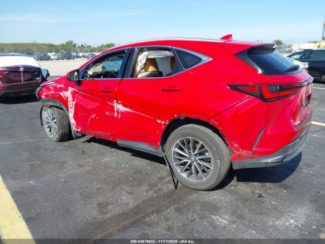 2025 LEXUS NX 250 2T2GDCAZ0SC029553 Photo 2