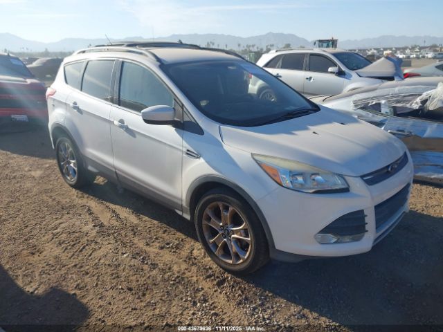 2014 FORD ESCAPE 1FMCU0GX2EUB33195