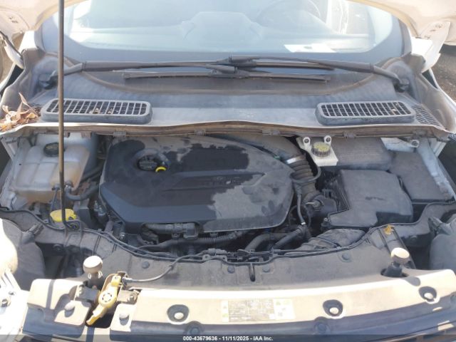 2014 FORD ESCAPE 1FMCU0GX2EUB33195 Photo 9