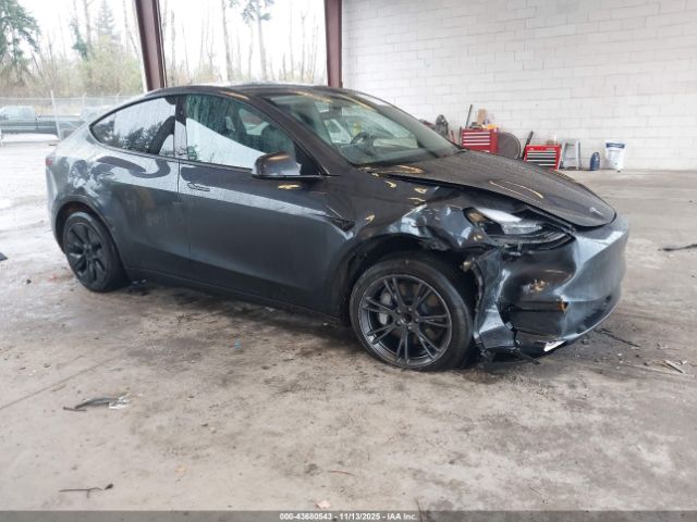 2024 TESLA MODEL Y 7SAYGDED8RF211661