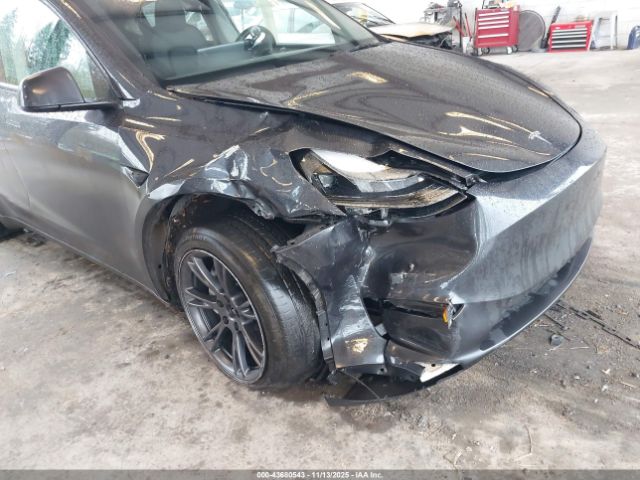 2024 TESLA MODEL Y 7SAYGDED8RF211661 Photo 5