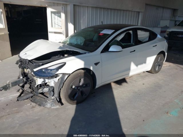 2023 TESLA MODEL 3 5YJ3E1EA9PF583539 Photo 1