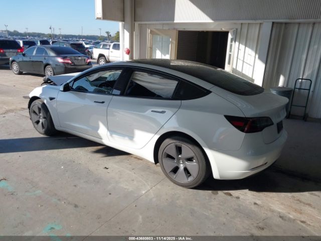 2023 TESLA MODEL 3 5YJ3E1EA9PF583539 Photo 2