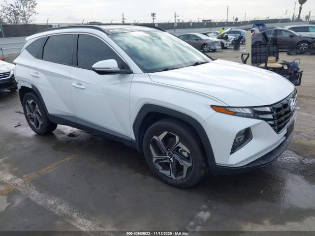 2022 HYUNDAI TUCSON HYBRID KM8JFCA13NU063973