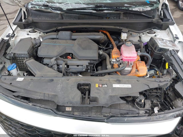 KNDPVCAG7P7026268 KIA Sportage Hybrid Ex