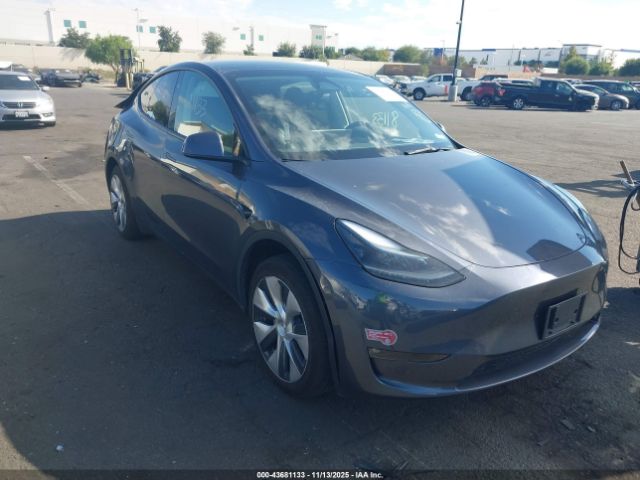 2023 TESLA MODEL Y 7SAYGDED0PF978241