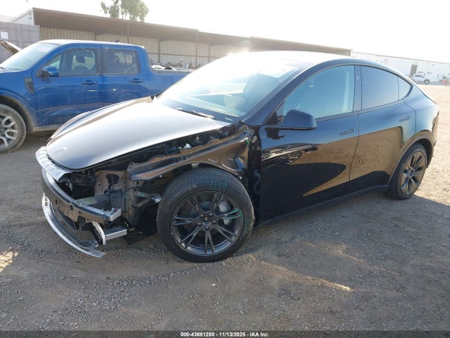 2025 TESLA MODEL Y 7SAYGDEE6SF238341 Photo 1