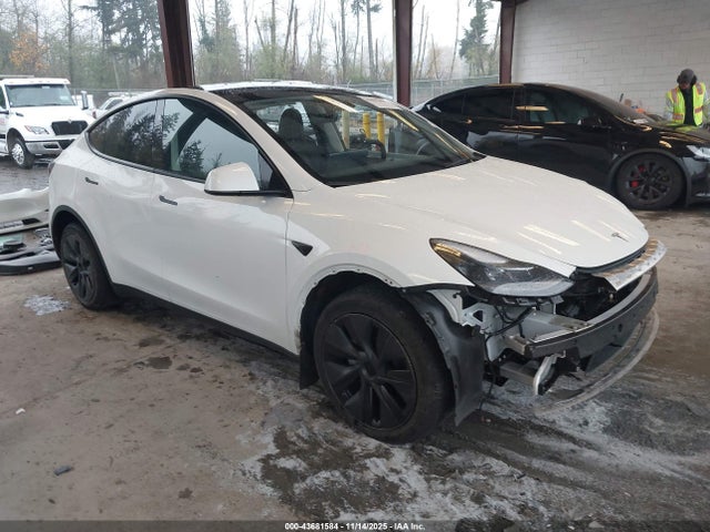 2024 TESLA MODEL Y 7SAYGDEE6RF204510 Photo 0