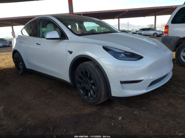2024 TESLA MODEL Y 7SAYGAEE2RF122644