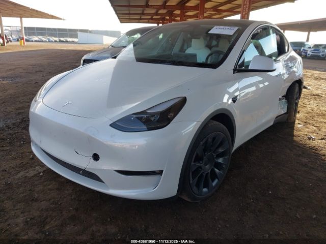 2024 TESLA MODEL Y 7SAYGAEE2RF122644 Photo 1