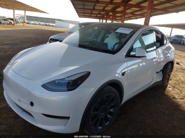 2024 TESLA MODEL Y 7SAYGAEE2RF122644 Photo 5
