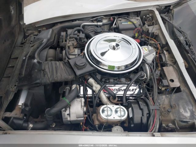 1981 CHEVROLET CORVETTE 1G1AY876XBS408530 Photo 9
