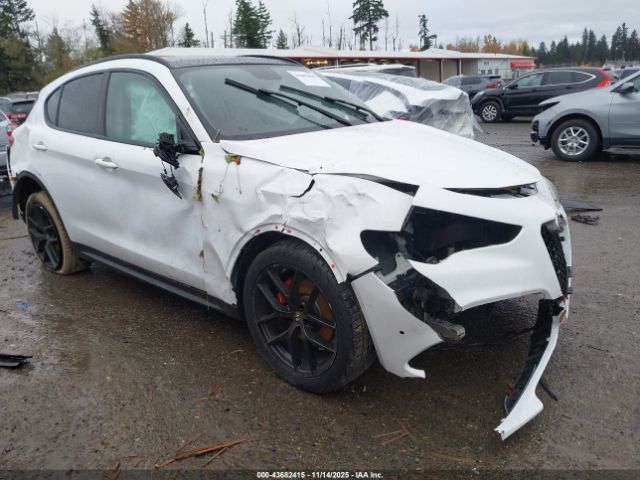 2019 ALFA ROMEO STELVIO ZASPAJAN7K7C42328