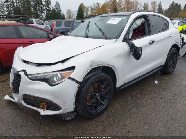 2019 ALFA ROMEO STELVIO ZASPAJAN7K7C42328 Photo 1