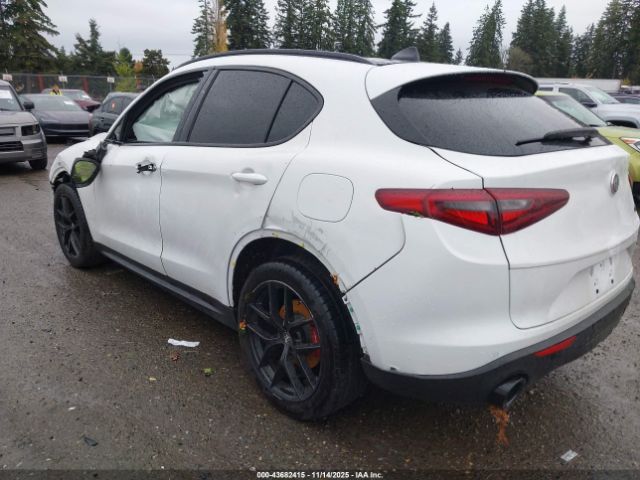 2019 ALFA ROMEO STELVIO ZASPAJAN7K7C42328 Photo 2