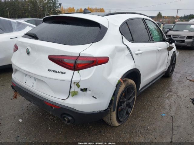2019 ALFA ROMEO STELVIO ZASPAJAN7K7C42328 Photo 3