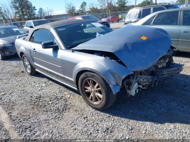 2006 FORD MUSTANG 1ZVFT84N765209881