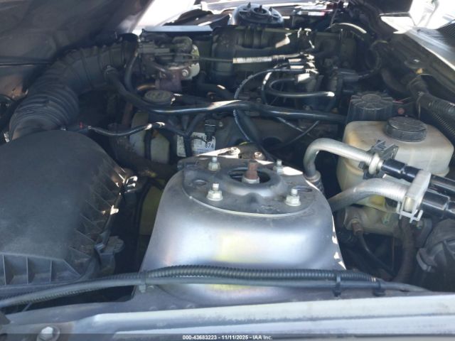 2006 FORD MUSTANG 1ZVFT84N765209881 Photo 9