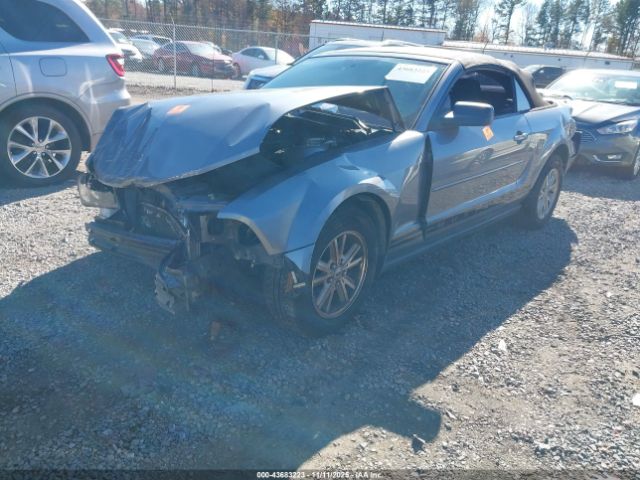 2006 FORD MUSTANG 1ZVFT84N765209881 Photo 1