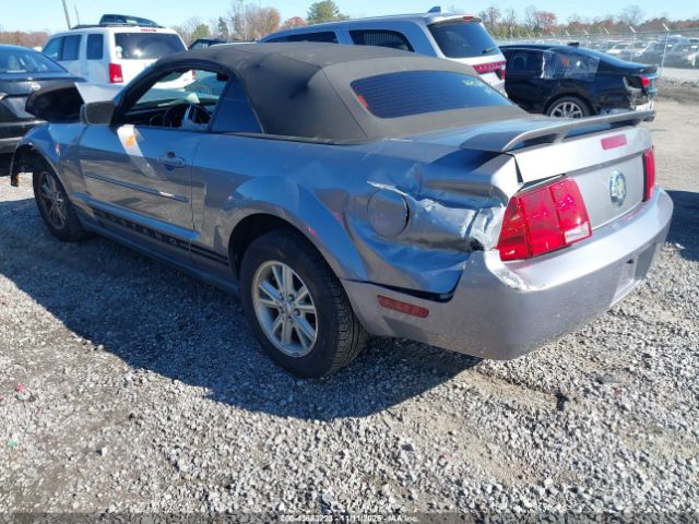 2006 FORD MUSTANG 1ZVFT84N765209881 Photo 2