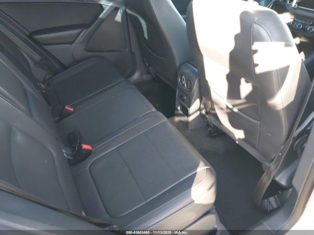 2011 VOLKSWAGEN TIGUAN WVGAV7AX8BW526317 Photo 7