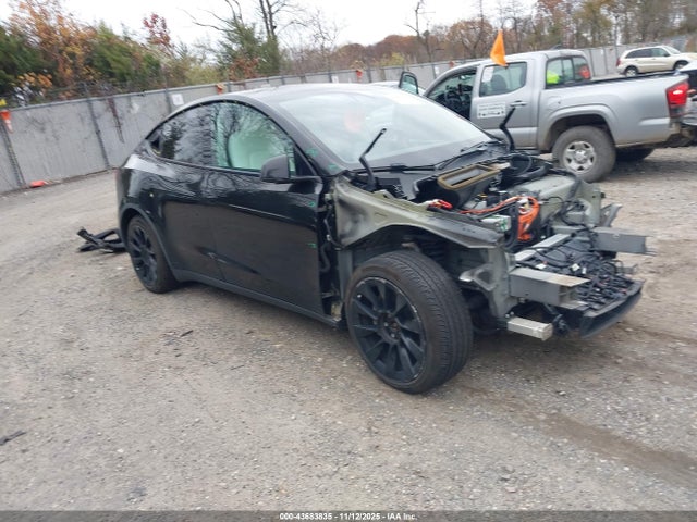 2020 TESLA MODEL Y 5YJYGDEE5LF049453 Photo 0