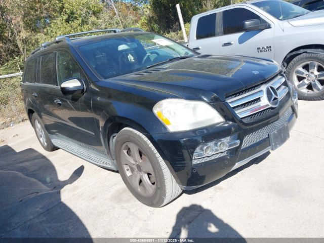 2010 MERCEDES-BENZ GL 450 4JGBF7BE5AA599476
