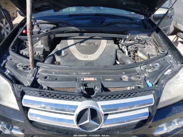 2010 MERCEDES-BENZ GL 450 4JGBF7BE5AA599476 Photo 9