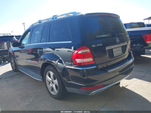 2010 MERCEDES-BENZ GL 450 4JGBF7BE5AA599476 Photo 2
