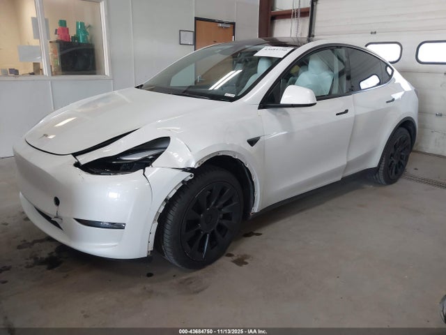 2023 TESLA MODEL Y 7SAYGDEE1PA177520 Photo 1