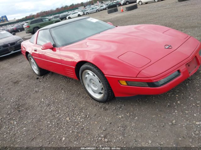 1992 CHEVROLET CORVETTE 1G1YY23P2N5103004