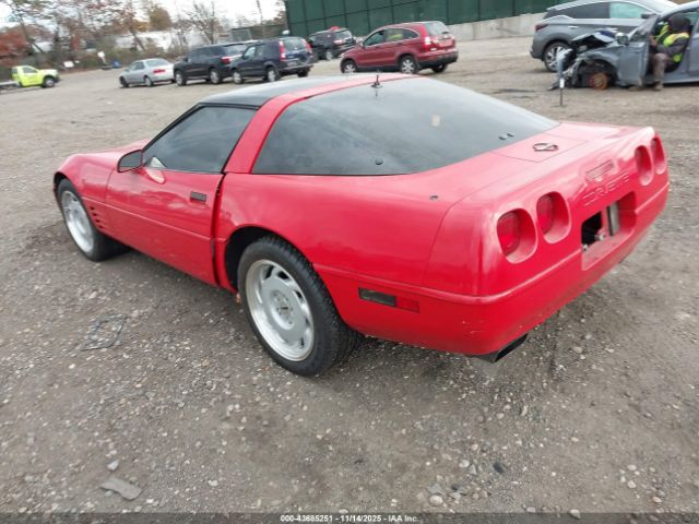 1992 CHEVROLET CORVETTE 1G1YY23P2N5103004 Photo 2