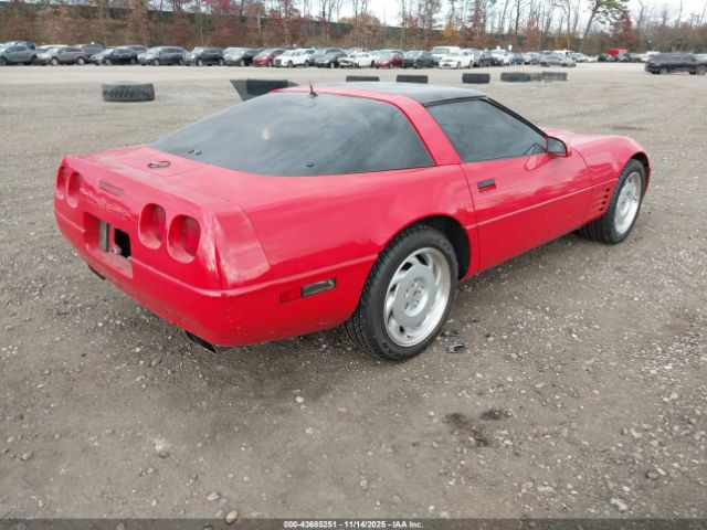 1992 CHEVROLET CORVETTE 1G1YY23P2N5103004 Photo 3
