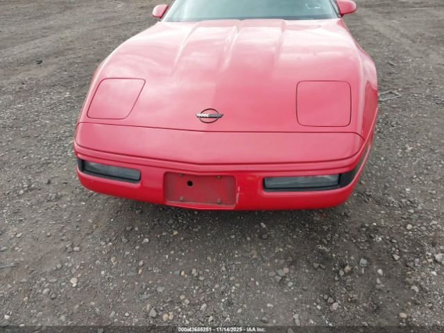 1992 CHEVROLET CORVETTE 1G1YY23P2N5103004 Photo 5