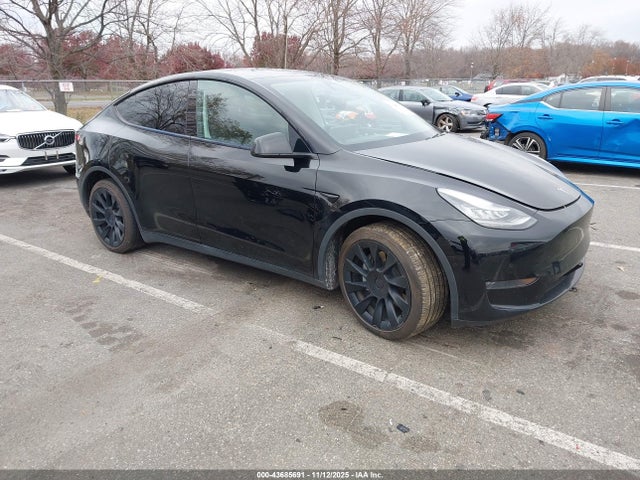 2020 TESLA MODEL Y 5YJYGDEE0LF042815 Photo 0
