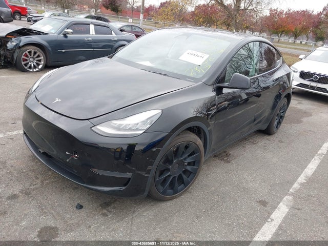 2020 TESLA MODEL Y 5YJYGDEE0LF042815 Photo 1