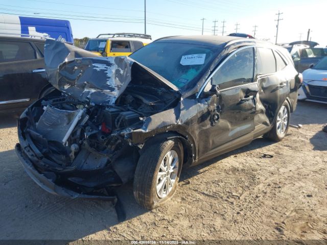 2024 FORD ESCAPE 1FMCU0GN8RUB51012 Photo 1