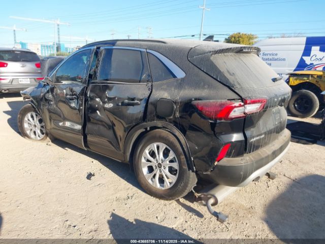 2024 FORD ESCAPE 1FMCU0GN8RUB51012 Photo 2