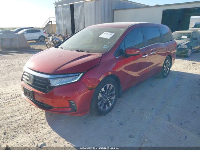 2022 HONDA ODYSSEY 5FNRL6H76NB000497 Photo 1