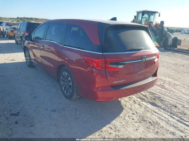 2022 HONDA ODYSSEY 5FNRL6H76NB000497 Photo 2
