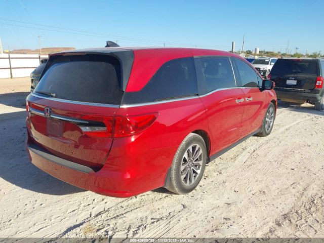2022 HONDA ODYSSEY 5FNRL6H76NB000497 Photo 3