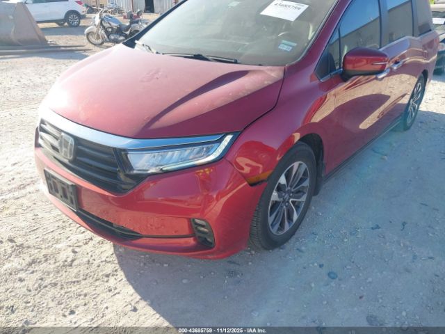 2022 HONDA ODYSSEY 5FNRL6H76NB000497 Photo 5