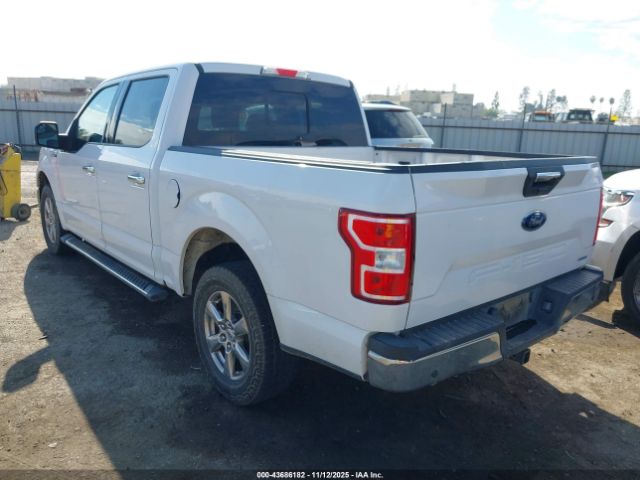 2019 FORD F-150 1FTEW1C44KKE39296 Photo 2