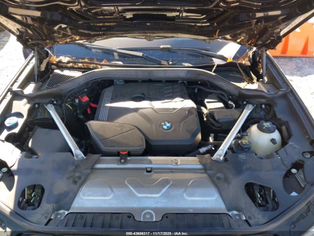 2023 BMW X4 5UX33DT01P9P53175 Photo 9